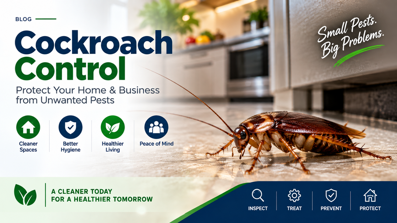 “Cockroach Control” Protect Your Home & Business from Unwanted Pests