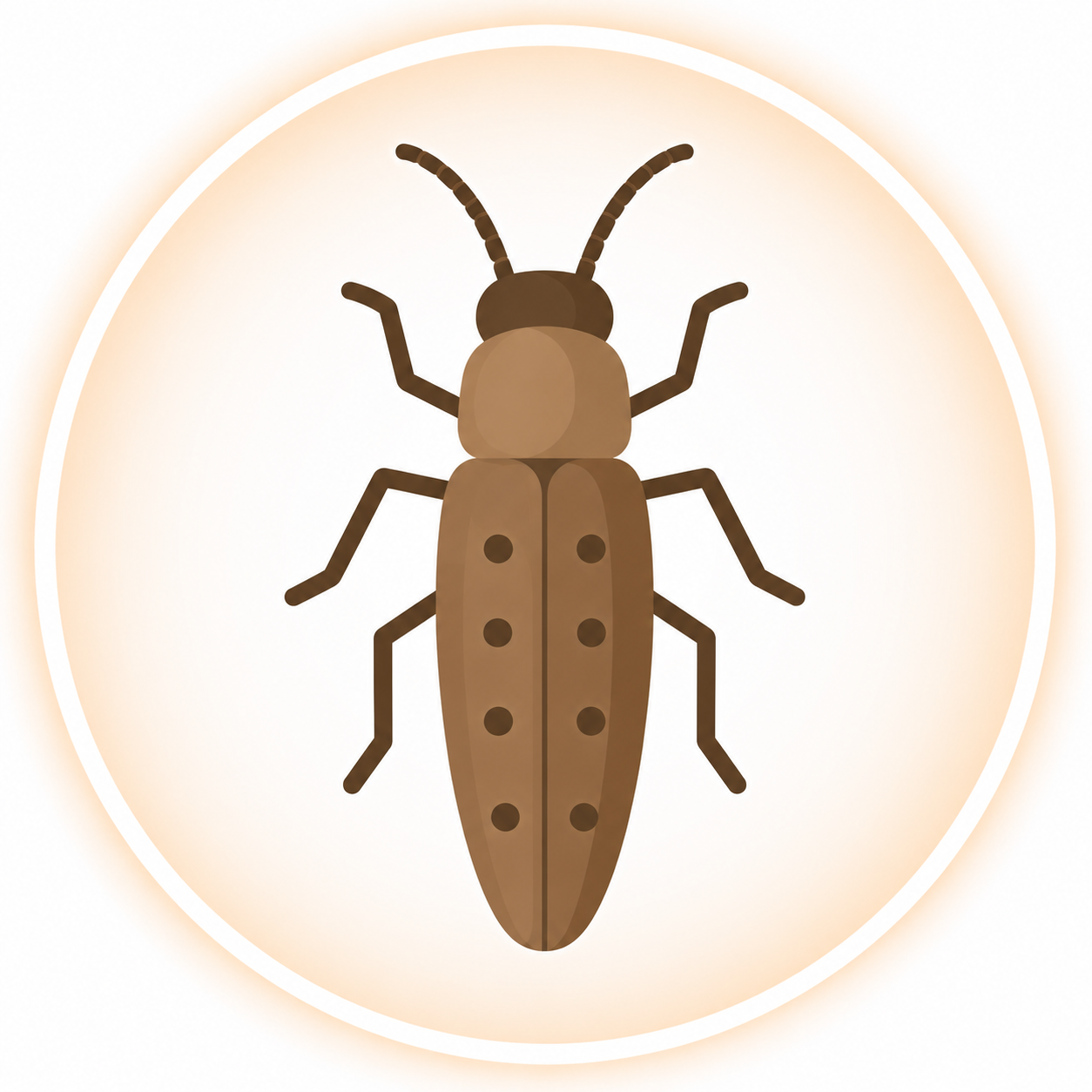 WoodBorer Control